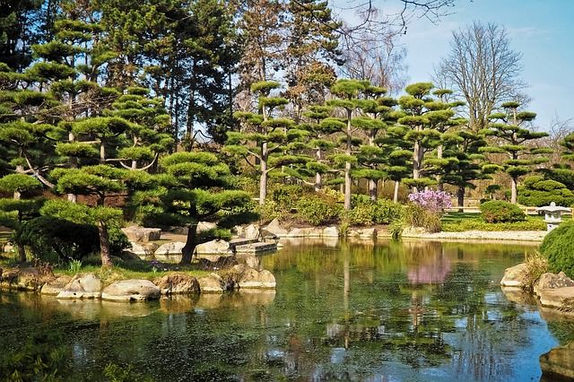 Japanischer Garten - planen, anlegen und Tipps